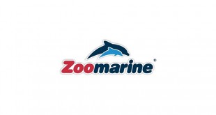 zoomarine