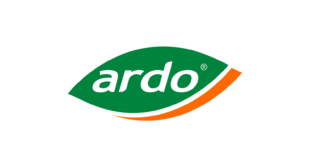 Ardo